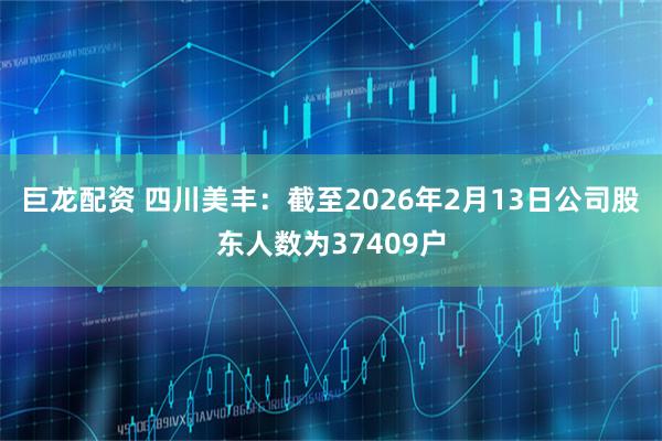 巨龙配资 四川美丰：截至2026年2月13日公司股东人数为37409户