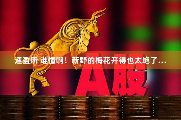 速盈所 谁懂啊！新野的梅花开得也太绝了…