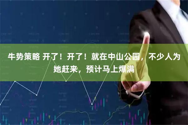 牛势策略 开了！开了！就在中山公园，不少人为她赶来，预计马上爆满