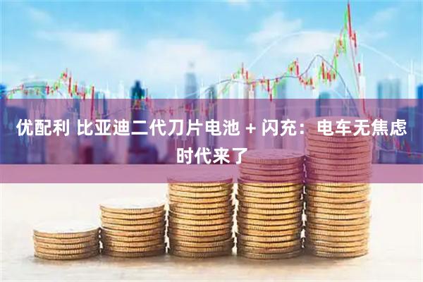 优配利 比亚迪二代刀片电池 + 闪充：电车无焦虑时代来了