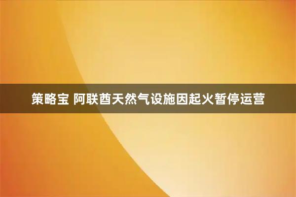 策略宝 阿联酋天然气设施因起火暂停运营