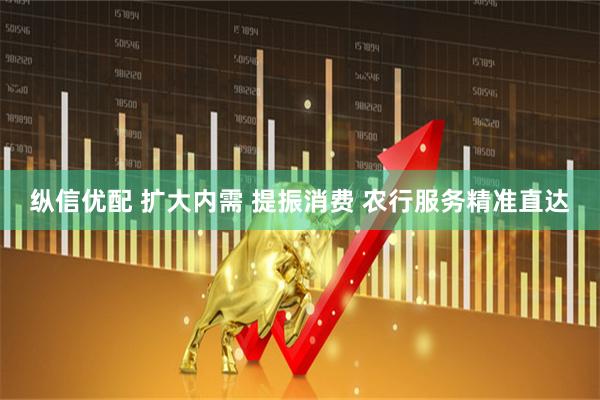 纵信优配 扩大内需 提振消费 农行服务精准直达