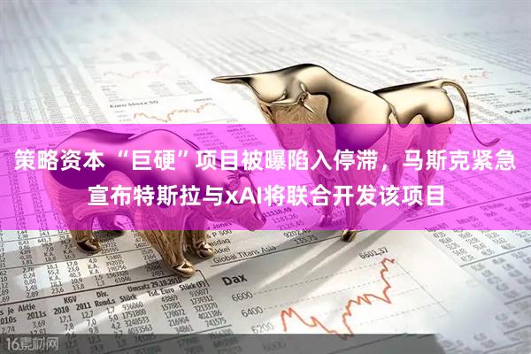 策略资本 “巨硬”项目被曝陷入停滞,马斯克紧急宣布特斯拉与xAI将联合开发该项目