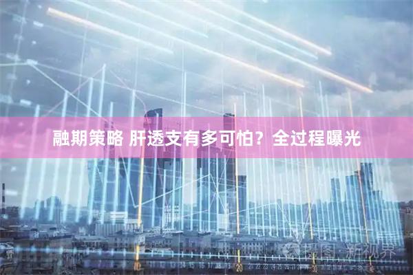 融期策略 肝透支有多可怕？全过程曝光