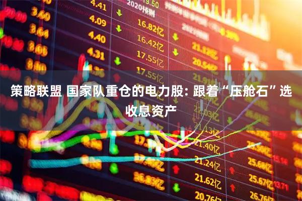 策略联盟 国家队重仓的电力股: 跟着“压舱石”选收息资产