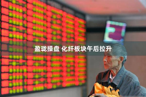 盈珑操盘 化纤板块午后拉升