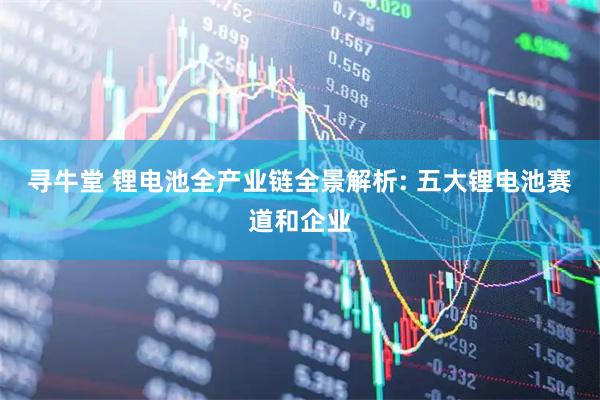 寻牛堂 锂电池全产业链全景解析: 五大锂电池赛道和企业