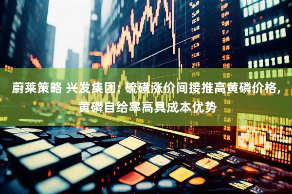 蔚莱策略 兴发集团: 硫磺涨价间接推高黄磷价格, 黄磷自给率高具成本优势