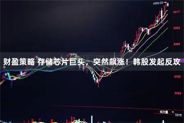 财盈策略 存储芯片巨头，突然飙涨！韩股发起反攻