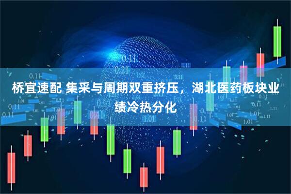桥宜速配 集采与周期双重挤压，湖北医药板块业绩冷热分化